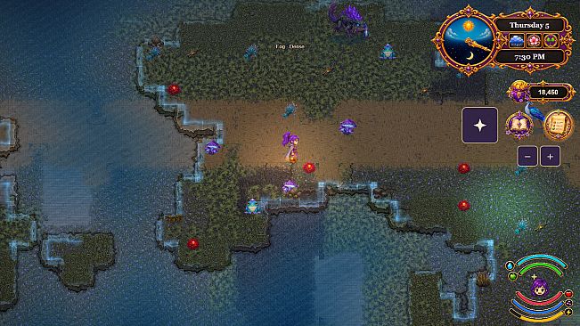 Wonderful Wizard Reverie