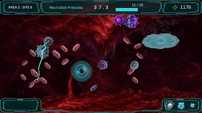 Vitro : Bloodstream