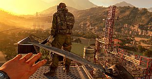 Dying Light: The Following