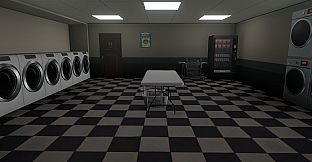 Laundromat Anomaly