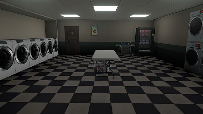 Laundromat Anomaly