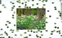 Let's Play Jigsaw Puzzles