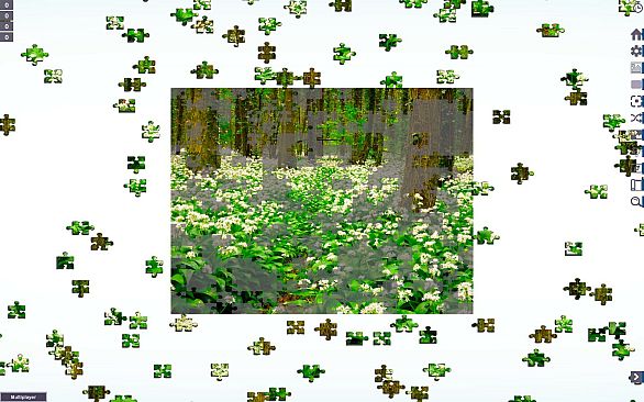 Let's Play Jigsaw Puzzles