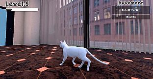 The Office Cat
