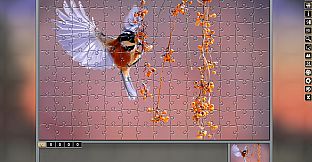 Pixel Puzzles Traditional Jigsaws Pack: Variety Pack 10