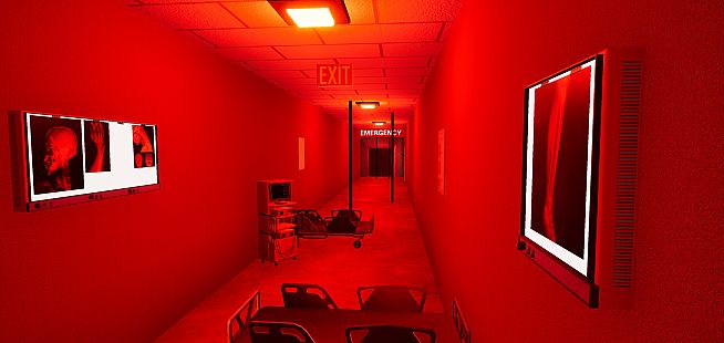 BrVR Backrooms Virtual Reality