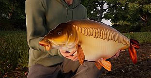 Fishing Sim World: Pro Tour - Giant Carp Pack