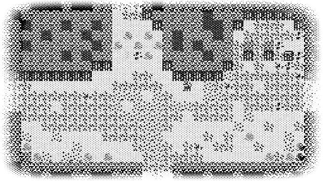 StarOS (Soundtrack)