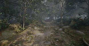 Misty Onsen - Retro Supporter Pack