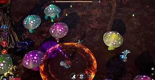Arcane Arena Survivors