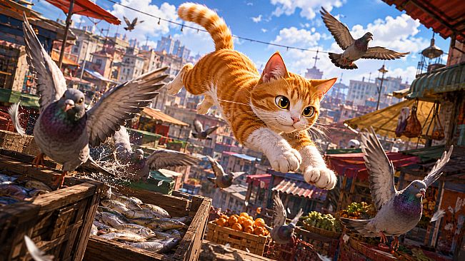 猫猫跑酷
