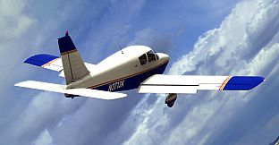 RealFlight Evolution - 2024 Year Content Pass