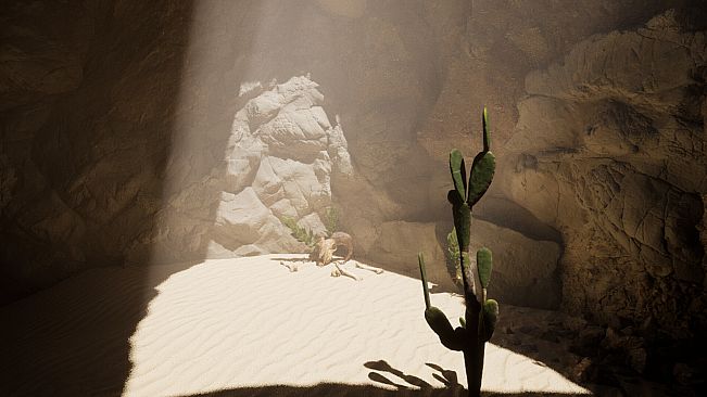 Whispers of the sands