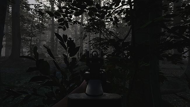 Death Life: Beyond Purgatory