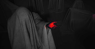 A Story of Questions