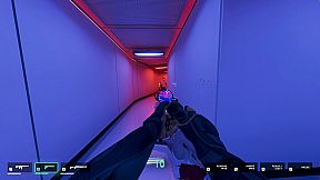 They Killed Your Cat