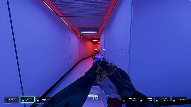 They Killed Your Cat