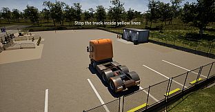 Truck Driver's License