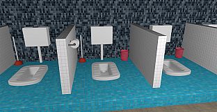 Toilet 101