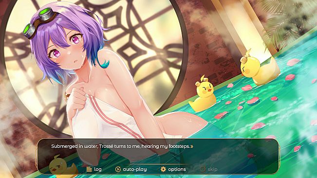 Kamikaze Lassplanes Supporter's Pack