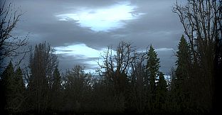 FSX: Steam Edition - FTX Trees HD Add-On