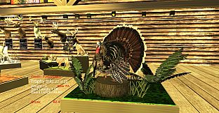 Turkey Hunting - The Season