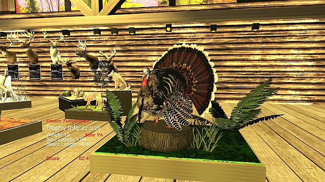 Turkey Hunting - The Season