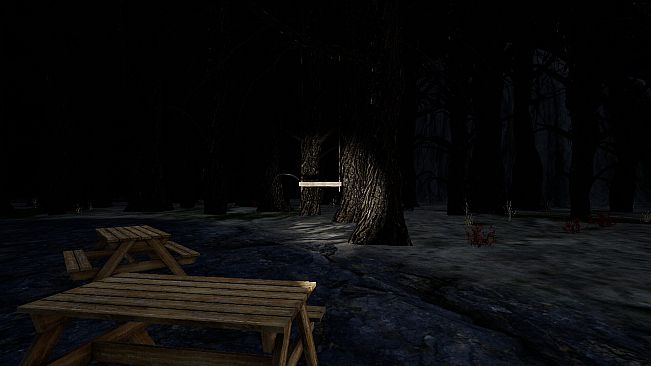 The Woods