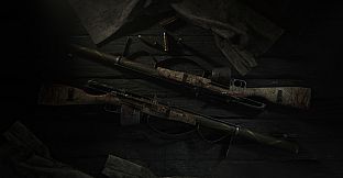 Hunt: Showdown 1896 - Crossroads