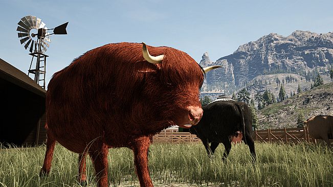 Ranch Simulator: Highland Cows Pack - Build, Farm, Hunt