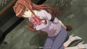 イヌワシ ～うらぶれ探偵とお嬢様刑事の池袋事件ファイル～