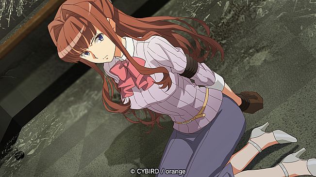 イヌワシ ～うらぶれ探偵とお嬢様刑事の池袋事件ファイル～