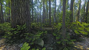 Mindfulness Simulator - ASMR Meditation Game