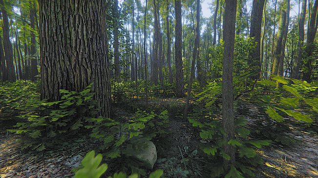 Mindfulness Simulator - ASMR Meditation Game