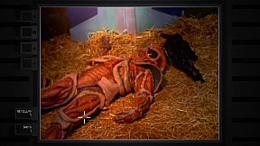 Ground Zero Texas - Nuclear Edition