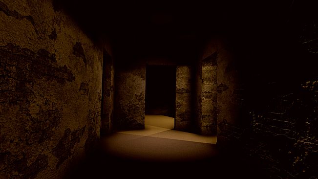 The Levels of Backrooms