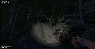 The Greys: Human Abductions