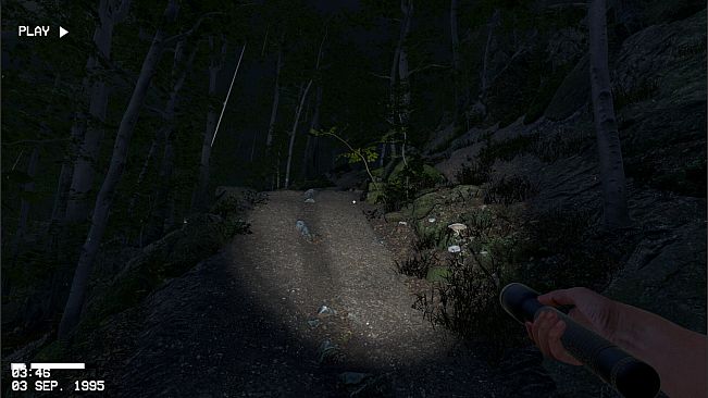 The Greys: Human Abductions