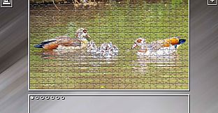 Super Jigsaw Puzzle: Generations - Random Animals 4