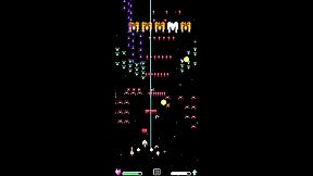 Space Bees 太空蜜蜂