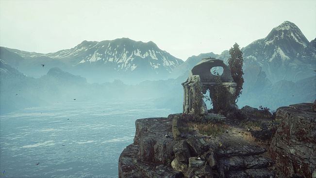 The Dead Tree of Ranchiuna