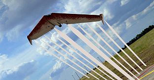 RealFlight Evolution – Zipper