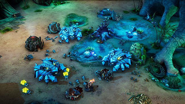 The Hive: Survival Mode