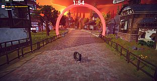 Cat Karting