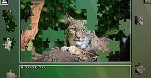 Super Jigsaw Puzzle: Generations - Big Cats Puzzles