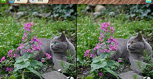 Peaceful Gardens 2: Cute Cats - Hidden Objects Collector's Edition