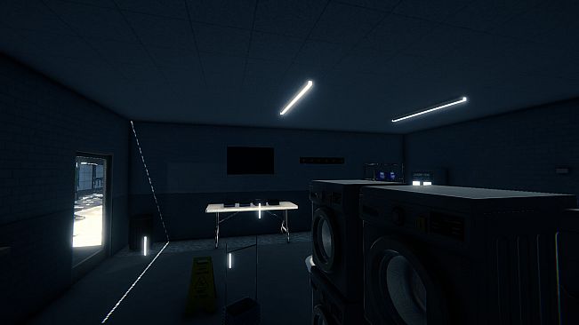 Cycle 8: The Laundromat Anomaly