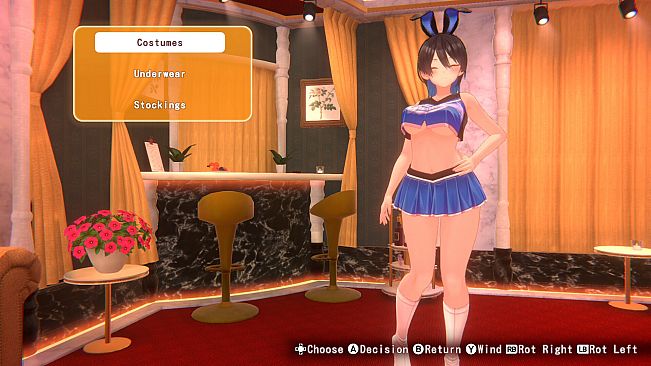 BUNNY GARDEN 2 - Costume: "Cheer Bunny"