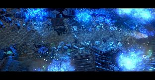 The Fable of a Rabbit