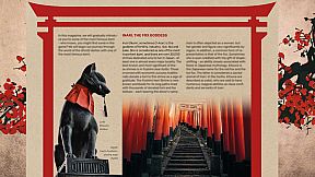 Scrolls of Sengoku Dynasty